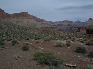 IMG_20130315_135922.jpg